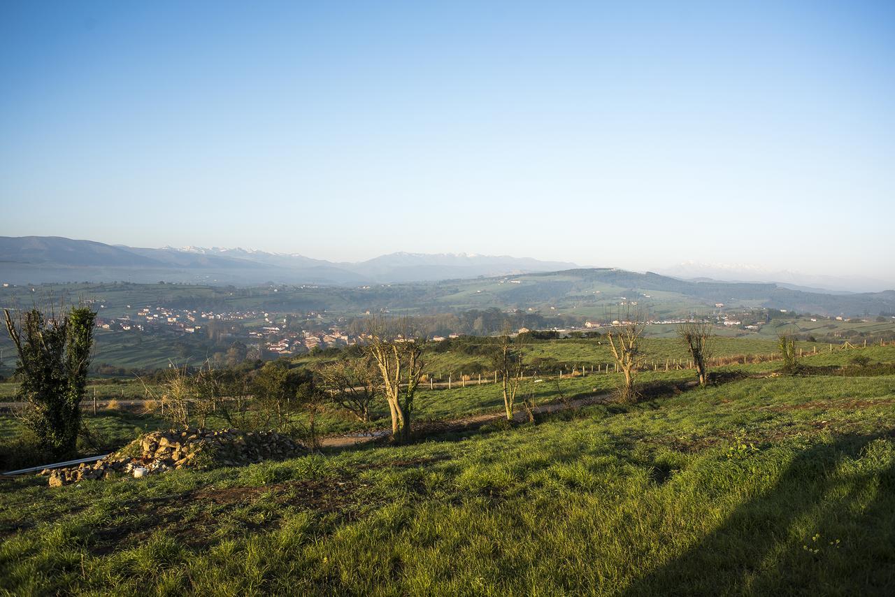 Suites Niditas Yuso Dış mekan fotoğraf